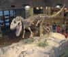 Un chasseur de fossile amateur a découvert un site de nidification de dinosaure. Les paléontologues qui ont eu la chance d’excaver le nid ont mis au jour des os d’embryons d'un cousin du Megalosaurus, le Torvosaurus. Ce théropode, qui vivait il y a 150 millions d’années, est rattaché aux premières branches de l'arbre phylogénique de ce groupe.