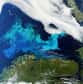 L’efflorescence du phytoplancton sur l'image prise par le satellite Envisat s’étire en travers de la mer de Barents, au large des côtes du point le plus septentrional de l’Europe continentale, le cap Nord.