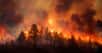 Des Incendies monstres ravagent actuellement le Chili. Des centaines de milliers d’hectares de forêt ont été brûlés. Et une grande partie du pays est sous la fumée.
