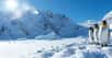 Les effets du réchauffement climatique sur l’Antarctique sont de plus en plus marqués. Et des chercheurs rapportent aujourd’hui que les barrières de glace qui retiennent la calotte polaire fondent désormais deux fois plus vite qu’il y a 50 ans.