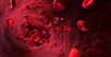 L’hématocrite désigne la proportion de globules rouges dans le sang. Un taux trop élevé ou trop bas peut être le signe d’un problème de santé. Mais l’hématocrite sert aussi à identifier les sportifs qui auraient eu recours au dopage pour faire monter leur taux de globules rouges.