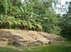 Une stèle, sculptée et datant d'environ 2.000 ans, découverte au Guatemala, sur le site archéologique de Takalik Abaj, passionne les chercheurs qui tentent toujours de la déchiffrer. Elle témoigne du développement de l'écriture dans la culture maya, civilisation pré-colombienne qui a régné en Méso-Amérique.