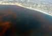 Une marée noire est une nappe de pétrole dans l’océan. Mais qu’en est-il des marées vertes, rouges ou bleues.
