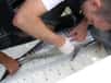 Un thon blanc marqué dans les eaux basques en 2006 a récemment été repêché au large du Venezuela. Ce poisson a parcouru 6.370 km, c’est la plus longue distance jamais enregistrée par une balise sur un spécimen de cette espèce.