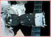 L'agence Russe de l'aviation et de l'espace a accepté de doubler la production de vaisseaux habités Soyouz pour pouvoir porter le nombre de cosmonautes et d'astronautes vivant de façon permanente à bord de l'ISS de trois à sept en 2006-2007, apprend-on lundi (9/12) de source officielle.