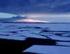 De nouvelles données recueillies par satellite montrent quatre années de couverture de glaces de mer extrêmement basse, en été, dans l'Arctique. Le phénomène s'est poursuivi en septembre 2005. Cela serait le résultat de températures plus élevées et d'une fonte précoce de printemps.