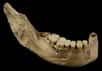 Les 34 fragments d'ossements découverts en 2003 dans une grotte de Tianyuan à Zhoukoudian, près de Pékin, commencent à parler. Et ce qu'ils révèlent pourrait amener les paléoanthropologues à revoir la théorie de dispersion de l'homme moderne venant d'Afrique.