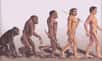 Se basant sur la constatation que les espèces humaines et simiesques se sont séparées voici six millions d'années, une nouvelle étude suggère que les chimpanzés posséderaient des gènes bien plus évolués que les nôtres.