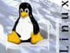 Le géant de l'informatique japonais a annoncé sa volonté d'étendre ses activités liées au système d'exploitation Linux.