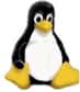 L'informaticien à l'origine du noyau Linux n'est pas convaincu par la seconde ébauche de licence publique générale version 3 publiée par la FSF.