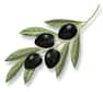 BIOLIVE, projet financé par la Commission Européenne, vise à développer une technologie capable d'utiliser les résidus solides de la transformation des olives pour la fabrication de nouveaux polymères.