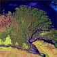 Selon Laurence Smith de l'Université de Californie à Los Angeles et ses collègues, les grands lacs de Sibérie disparaîtraient depuis une trentaine d'années sous l'effet du réchauffement climatique.