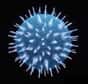 La récente découverte de chercheurs canadiens est très intéressante. Les porteurs du Virus de l'Immuno-Déficience Humaine seraient susceptibles d'être victimes d'une seconde contamination au VIH : une superinfection !