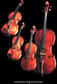 Les violons signés Stradivarius, célèbre luthier du XVIIIème siècle, sont extrêmement recherchés. Car le fait est qu'aucun des violons contemporains n'ont depuis égalé leur sonorité.