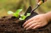 Vous jardinez en amateur et trouvez les pesticides bien pratiques ? Pourquoi ne pas essayer de vous en passer ? Découvrez comment réduire leur utilisation.