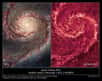 M 51 est une belle galaxie spirale vue de face qui fait partie des cibles favorites des astronomes. Grâce au télescope spatial Hubble on peut la découvrir sous deux aspects : dans le visible et en infrarouge.