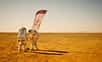 Au nord du Sahara, près d’Erfoud au Maroc, des chercheurs, des professionnels du secteur spatial et des passionnés ont trouvé un terrain de jeu des plus appropriés pour tester leurs idées d’exploration humaine de la planète Mars. Explications.