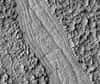 En se penchant attentivement sur des images transmises par la sonde Mars Reconnaissance Orbiter, un étudiant a découvert d'étranges motifs en spirale qui ne s'observent que sur certaines coulées de lave terrestres.