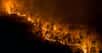 Alors que le Canada est toujours en proie aux flammes, une nouvelle étude vient questionner notre gestion des forêts mais également… des incendies. Car alors que les pompiers tentent désespérément d’éteindre l’ensemble des départs de feux, des chercheurs montrent que ce n’est peut-être pas la meilleure stratégie à adopter.
