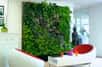 L'installation d'un mur végétal ou d'un jardin vertical est possible à l'intérieur d'une maison, à certaines conditions, mais quel est son intérêt ? Découvrez à quoi sert un mur végétal intérieur.
