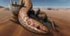 Des chercheurs viennent de mettre la main sur des fossiles exceptionnellement bien conservés de serpents préhistoriques. Leur analyse montre, entre autres, que les ancêtres des serpents modernes ont eu des pattes pendant une très longue période de temps.