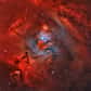 NGC 2264, l'un des objets célestes les plus photographiés, n'avait sans doute jamais été aussi bien mis en valeur que sur une très longue pose réalisée par l'astronome amateur allemand Rolf Geissinger.