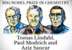 Le prix Nobel de chimie 2015 récompense trois chercheurs qui, indépendamment, ont étudié la « boîte à outils des cellules » permettant de réparer un ADN endommagé. Il s'agit du Suédois Tomas Lindahl, de l’Américain Paul Modrich et du Turco-Américain Aziz Sancar.
