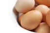 La choline, présente dans les œufs et le poisson, améliorerait la mémoire et diminuerait les risques de démence. Explications.
