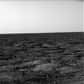 Après s’être posée sur Mars comme prévu à 23 h 53 TU le 25 mai, puis avoir rechargé ses batteries durant environ deux heures, la sonde américaine Phoenix a transmis ses premières images depuis le sol à partir de 1 h 53.