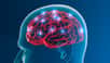 La maladie d’Alzheimer se caractérise à la fois par des plaques amyloïdes et l’accumulation de protéines Tau dans le cerveau. © Naeblys, Shutterstock