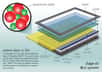 Utiliser les nanoparticules et, plus précisément, les boîtes quantiques pour améliorer le rendu des couleurs et de la luminosité des écrans LCD, c’est la prouesse réalisée par 3M et Nanosys avec QDef. Futura-Sciences a interrogé le directeur produit de Nanosys pour mieux analyser les tenants et les aboutissants de ce progrès.
