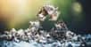 La mention « recyclable » est de plus en plus présente sur les emballages et autres objets de notre quotidien. Elle peut laisser penser que les matériaux sont recyclables à l’infini. Mais la réalité est-elle vraiment aussi idyllique ?