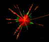 Un groupe de physiciens britanniques a calculé que des minitrous noirs primordiaux en fin d'évaporation par effet Hawking pourraient déstabiliser le vide quantique associé au boson de Higgs. Ce qui entraînerait la fin de l'Univers... Ce phénomène pourrait se produire également avec la création éventuelle de minitrous noirs au LHC. Mais conduirait-il lui aussi à la fin du cosmos observable ?