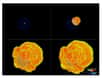 A l’aide du puissant superordinateur Blue Gene/P, les chercheurs de l’Université de Chicago explorent la physique de l’explosion des naines blanches et produisent des simulations 3D de plus en plus précises des supernovae SN Ia. L’un de leurs buts est de comprendre la nature de l’énergie noire.