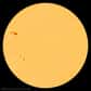 Avec la reprise de l'activité solaire, les taches à la surface de notre étoile augmentent en nombre et en taille. Voici AR 1339, l'une des plus grosses taches observées depuis des années.