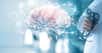 Le modèle d’intelligence artificielle (IA), plus précis que les précédents, permet de calculer l’âge réel du cerveau. Les résultats donnent un aperçu de l'identification précoce des personnes présentant un risque élevé de maladie neurodégénérative, comme la maladie d'Alzheimer.