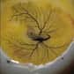 Pour la première fois, le concours Nikon Small World a également primé des vidéos. Elles sont d’une beauté exceptionnelle. Le lauréat est parvenu à dévoiler la complexité du système circulatoire chez un embryon de poule à l’intérieur de l’œuf. Le cœur est même visible en pleine action ! Des cellules sanguines fluorescentes ont aussi été utilisées pour dévoiler les mouvements de l’hémolymphe chez une larve de mouche.