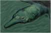 Ocepechelon bouyai est une tortue du Crétacé découverte dans la « mer des Phosphates », des dépôts situés au Maroc. L’animal, décrit pour la première fois le mois le dernier, disposait d’un museau tubulaire unique en son genre. Son anatomie suggère que cette tortue se nourrissait en aspirant ses proies.