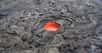 Les éruptions volcaniques sont souvent accompagnées, mais pas toujours, d’effusions de lave. Les grandes coulées rouge vif qui s’épanchent des bouches volcaniques sont ainsi l’un des spectacles les plus emblématiques du volcanisme. Un spectacle qui attire souvent les touristes, comme sur le mont Etna ou lors des éruptions fissurales en Islande. Mais quelle est l’explication physique de la couleur de cette roche en fusion ? D’ailleurs, la lave est-elle toujours rouge ?