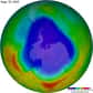 Les courants atmosphériques sont modifiés. Dans l’hémisphère sud, le courant-jet migre vers le pôle, ce qui impacte le climat global. Il est suggéré depuis déjà quelques années que le trou de l’ozone et les gaz à effet de serre en sont responsables. Une étude a récemment prouvé que le principal coupable était l’appauvrissement de l’ozone en Antarctique.