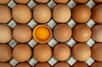 L’albumen désigne le blanc de l’œuf. © Rattanachai, Fotolia