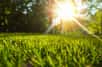 Et chez vous, pour quelle alternative au gazon allez-vous opter ? © Travis, Adobe Stock