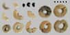 Ils ressemblent à de tout petits donuts noircis mais ces objets à base de céréales ne devaient pas se manger. Trouvés sur un site datant de l'Âge du Bronze, à Stillfried an der March en Autriche, ils auraient pu avoir un rôle rituel.