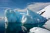 Sans l'influence du réchauffement climatique, il est fort peu probable que la banquise en Antarctique eut atteint de tels niveaux records de fonte de glace de mer en 2023. Cette étendue minimale est un événement qui n'aurait dû intervenir qu'une fois tous les 2 000 ans d'après une récente étude.