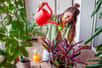En quelques années, le paillage est devenu l'allié indispensable des jardiniers avertis. Ce geste simple transforme radicalement l'arrosage et favorise une floraison exceptionnelle. Comment une technique aussi élémentaire peut-elle avoir un tel impact sur nos jardins ? Découvrez pourquoi des milliers de jardiniers ont changé leurs habitudes d'arrosage grâce à cette méthode révolutionnaire.