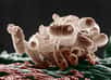 Escherichia coli, une bactérie intestinale présente chez les mammifères, au microscope électronique. Selon la théorie de l'hologénomique, les micro-organismes participent à l'évolution de l'hôte qu'ils colonisent. © Microbe World, Flickr, cc by nc sa 2.0