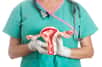 Selon des chercheurs américains, la composition du microbiote vaginal pourrait jouer un rôle dans le dépistage du cancer de l’endomètre, notamment chez les femmes postménopausées.