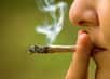 Le cannabis aurait des effets directs sur le fonctionnement des vaisseaux sanguins. © ststoev, Adobe Stock