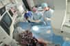Trois enfants nés avec des malformations cardiaques ont été traités par une chirurgie utilisant le cathétérisme (c'est-à-dire en introduisant un cathéter dans les vaisseaux), sans opération à cœur ouvert. Pour cela, les médecins du CHU de Toulouse ont été aidés par le logiciel 3D Echonavigator qui fusionne des images obtenues par échographie et rayons X.