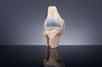 L’articulation du genou est l’une des plus sollicitées, et sa destruction est irréversible. Des chercheurs de l’université de Duke aux États-Unis ont mis au point un matériau gélatineux hyper solide et résistant à la traction qui pourrait remplacer les cartilages défectueux.
